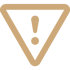 Case Result Icon